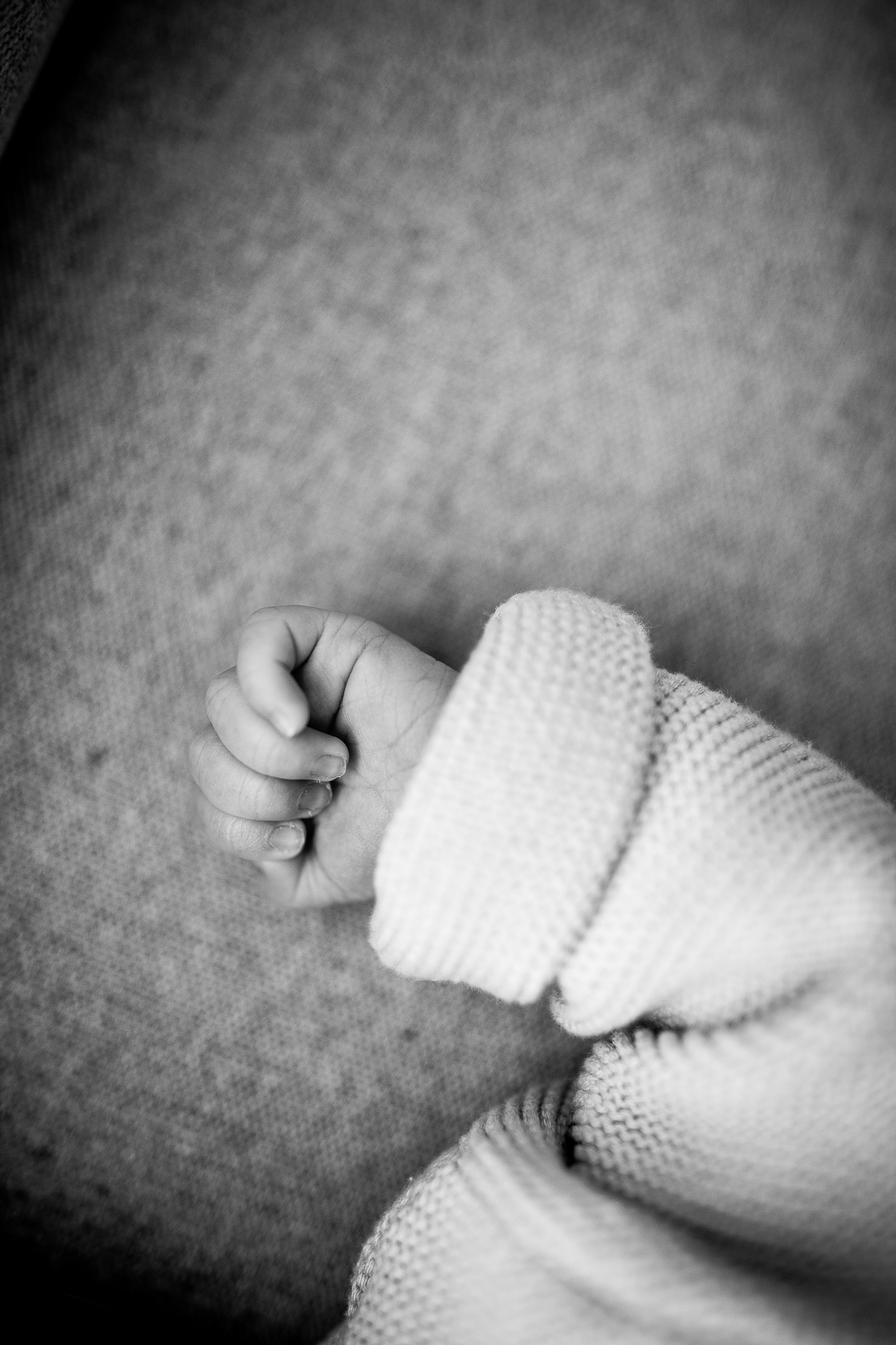 Export x3 5D4 6771 Familienfotoshooting 2019 Hefti 2